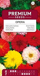 Dahlia Dwarf Opera Double Mixed Seeds